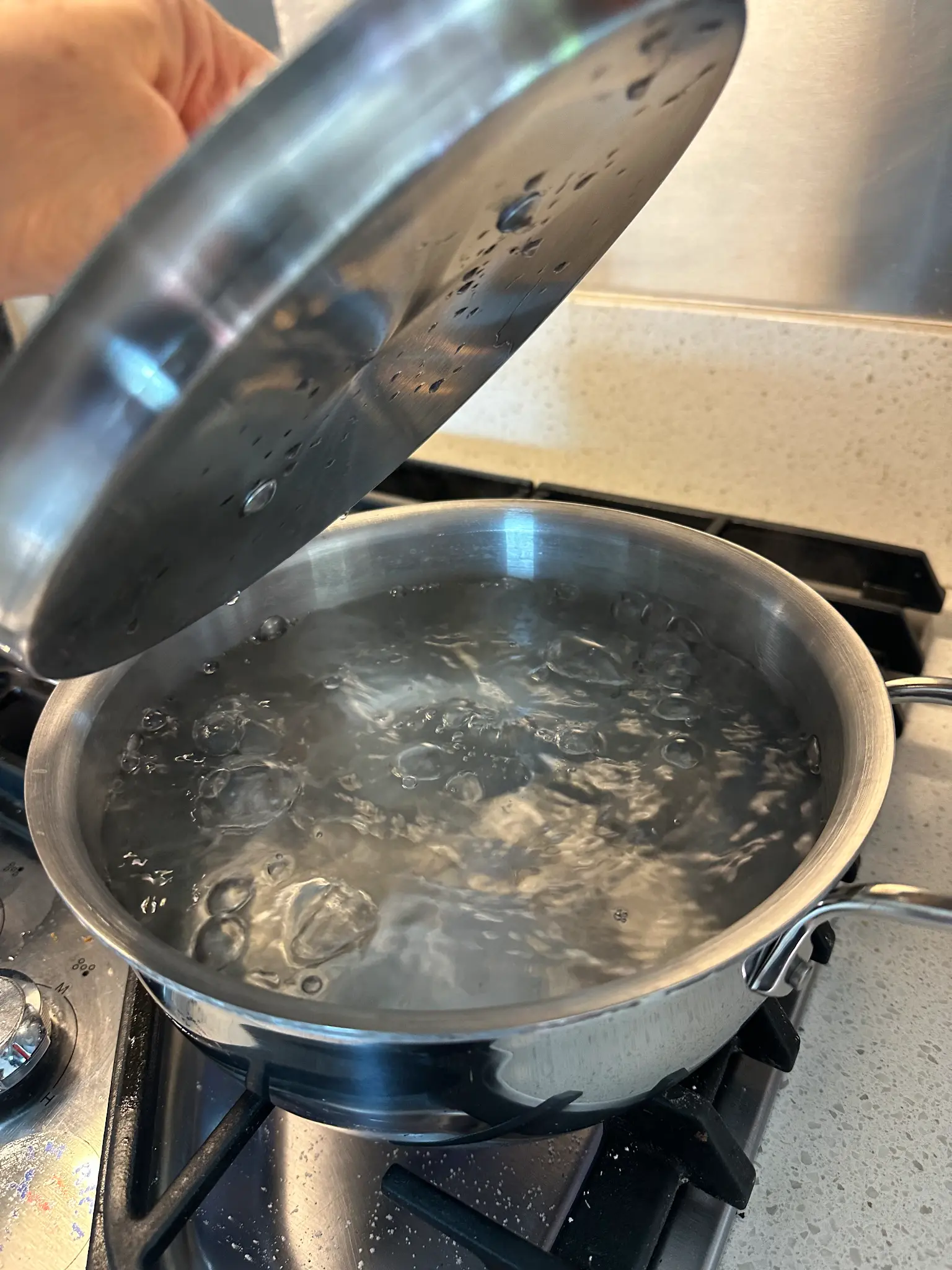 Rolling boil in a stainless steel pot on the gas stove, lid lifted