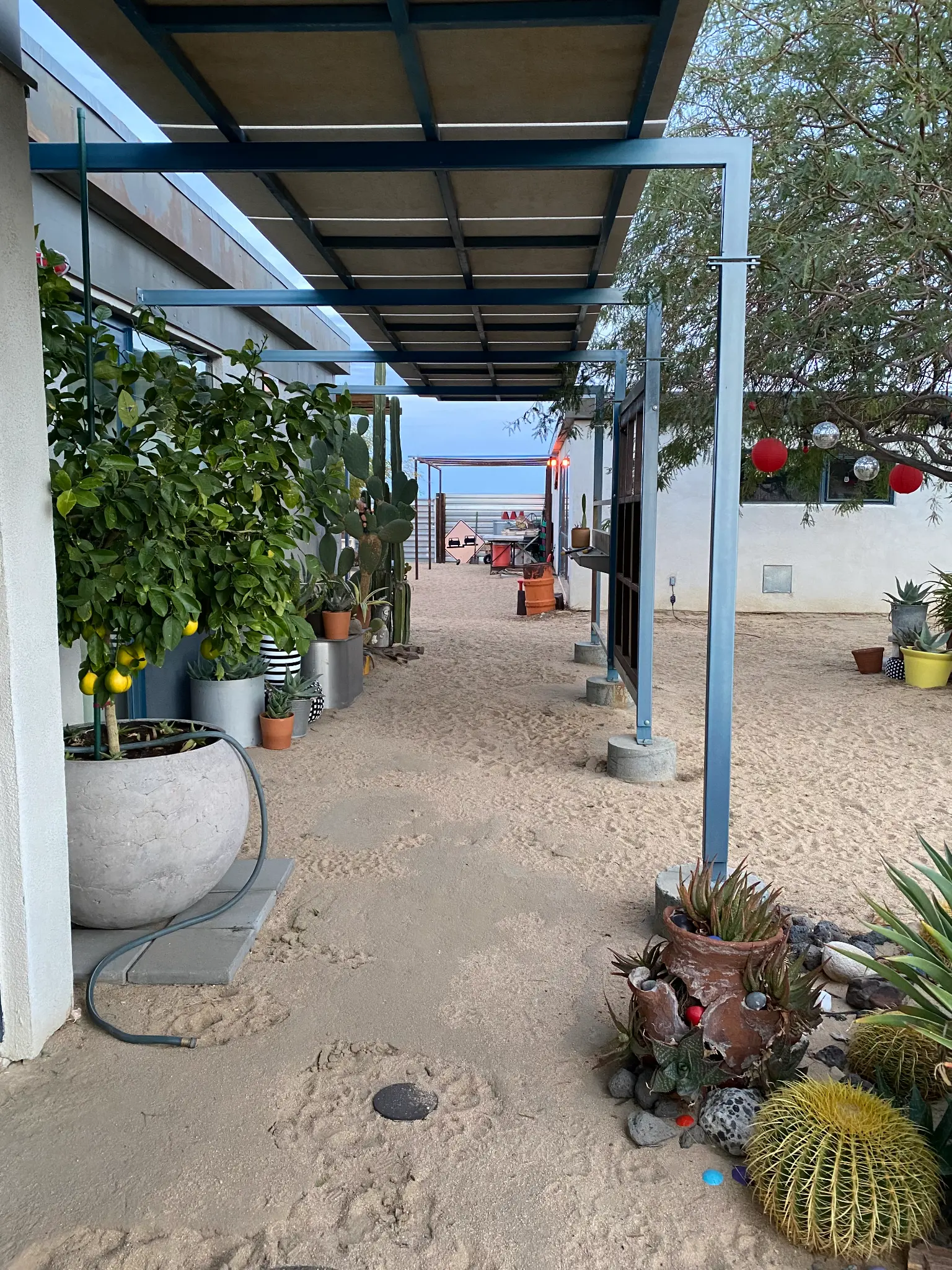 Desert courtyard at the Landers Airbnb with lemon tree, cacti, and covered pergola at dusk