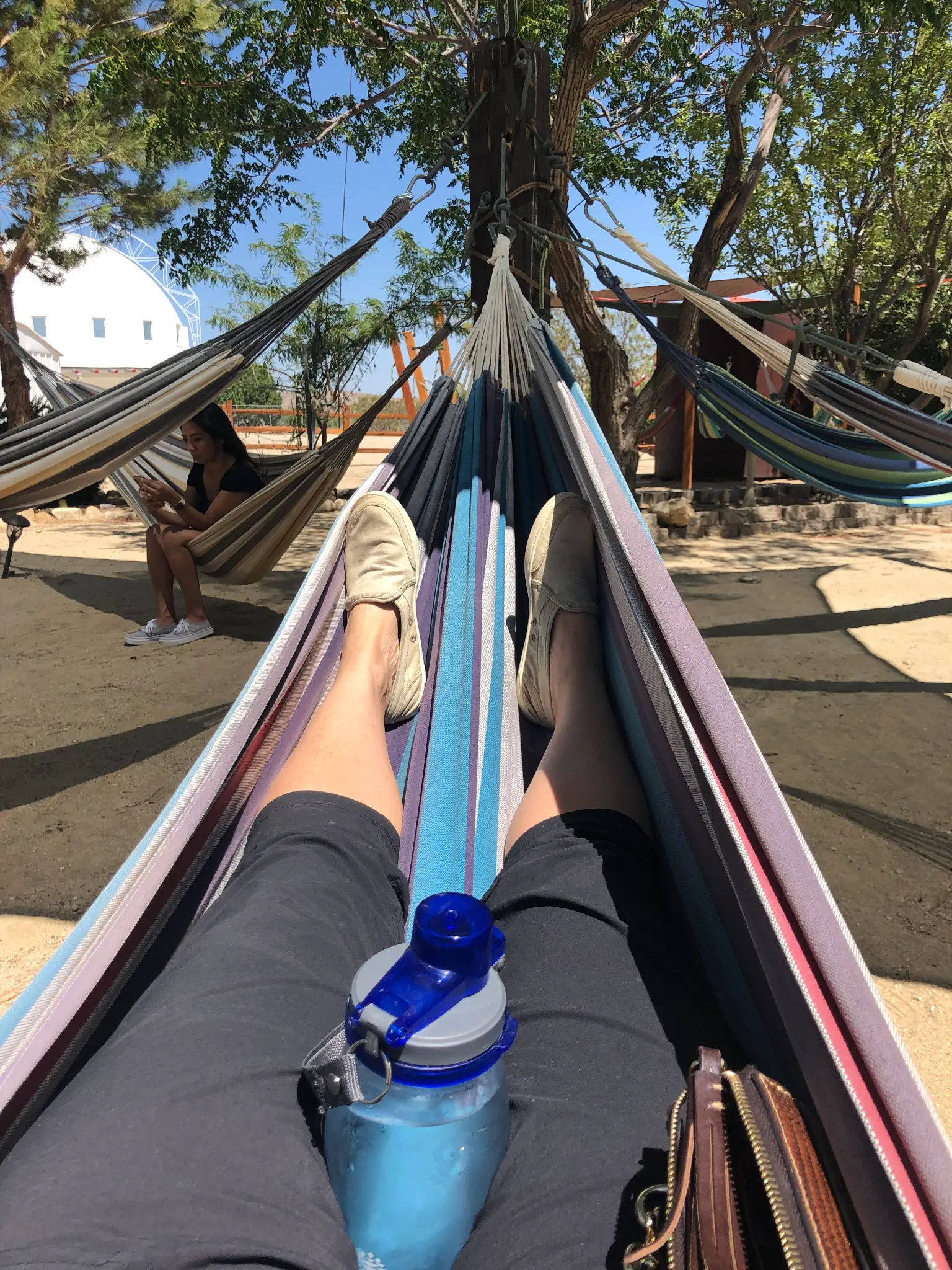 View from a hammock at the Integratron grounds β colorful hammocks strung between trees with the white dome visible in the background