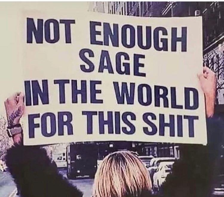 Protest sign reading: Not Enough Sage in the World for This Shit